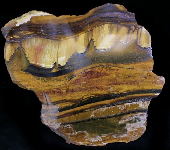 Banded Tiger Iron Stromatolite - Mt Brockman ( Billion Years) #22484